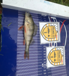 photo prise 52563 par Morgan 