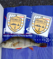 photo prise 52564 par Tarpo