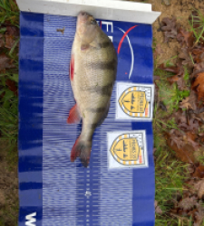 photo prise 52565 par argodren