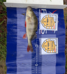 photo prise 52566 par oscar