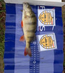 photo prise 52567 par oscar