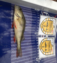 photo prise 52569 par Morgan 