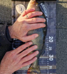 photo prise 52570 par Baroleurre