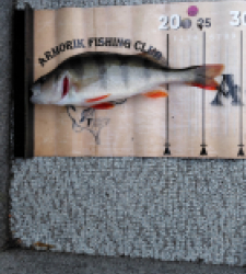 photo prise 52571 par morvan.alexandre834