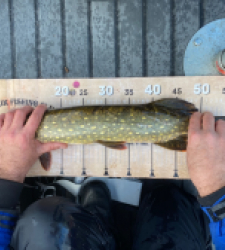 photo prise 52572 par MATMIX