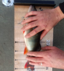 photo prise 52573 par Alex