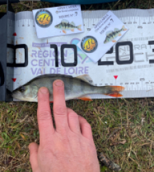 photo prise 52575 par Gio