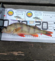 photo prise 52576 par 