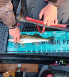 photo prise 52577 par PAPAILLE