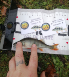 photo prise 52578 par Yoann