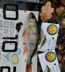 photo prise 52579 par Jéjé 