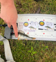 photo prise 52580 par pecheur.lotetgaronne