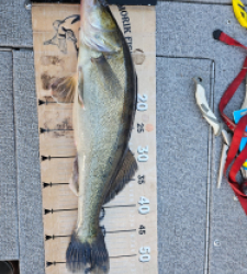 photo prise 52581 par antoine