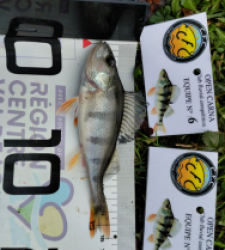 photo prise 52583 par Jéjé 