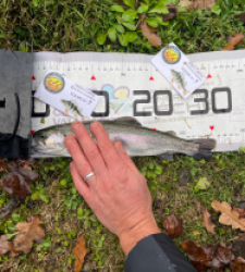 photo prise 52584 par Gio