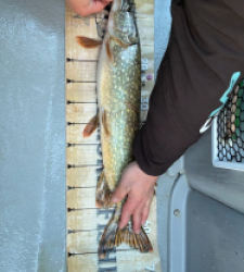 photo prise 52585 par Geoffroy