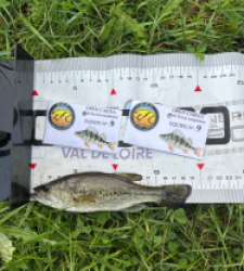 photo prise 52586 par Lucas