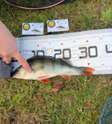 photo prise 52587 par pecheur.lotetgaronne