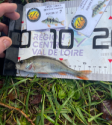 photo prise 52588 par Gio