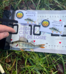 photo prise 52589 par Gio