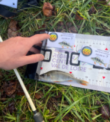 photo prise 52590 par Gio