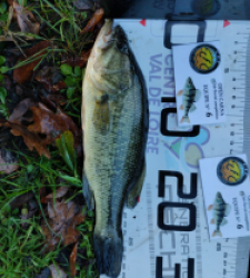 photo prise 52591 par Jéjé 