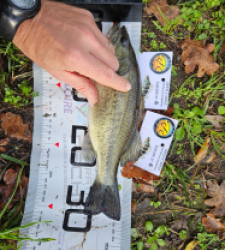 photo prise 52592 par JuGemeau