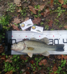 photo prise 52593 par Yoann