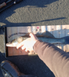 photo prise 52594 par Marco