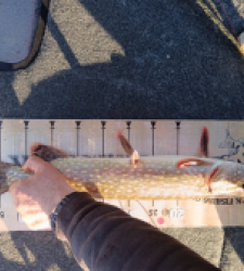 photo prise 52595 par Marco