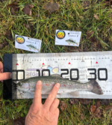 photo prise 52596 par The fisher16