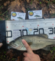 photo prise 52597 par Jéjé 