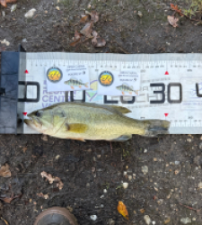 photo prise 52598 par Lucas