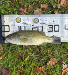 photo prise 52601 par Lucas