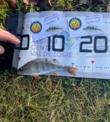 photo prise 52602 par Gio