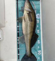 photo prise 52603 par louna