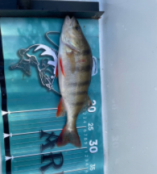 photo prise 52604 par louna