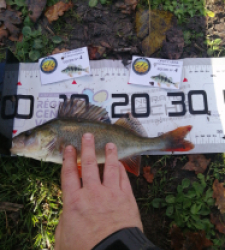 photo prise 52605 par Yoann