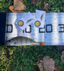 photo prise 52606 par Gio