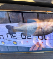 photo prise 52607 par 