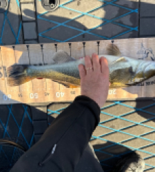 photo prise 52608 par Arnaud