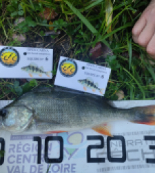 photo prise 52610 par Jéjé 