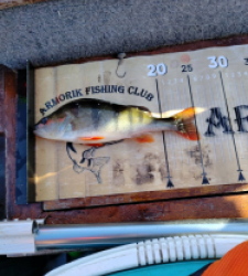 photo prise 52611 par louna