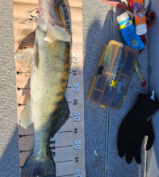 photo prise 52612 par antoine