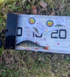 photo prise 52613 par Gio