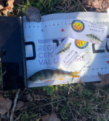 photo prise 52614 par Gio