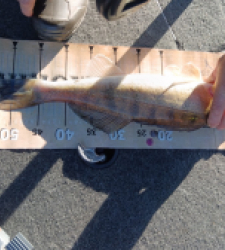 photo prise 52615 par Marco