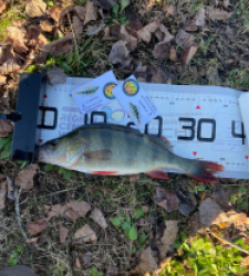 photo prise 52616 par Gio