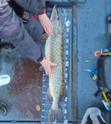 photo prise 52617 par loic