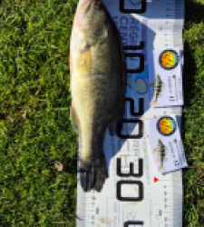 photo prise 52620 par edouard.souriau